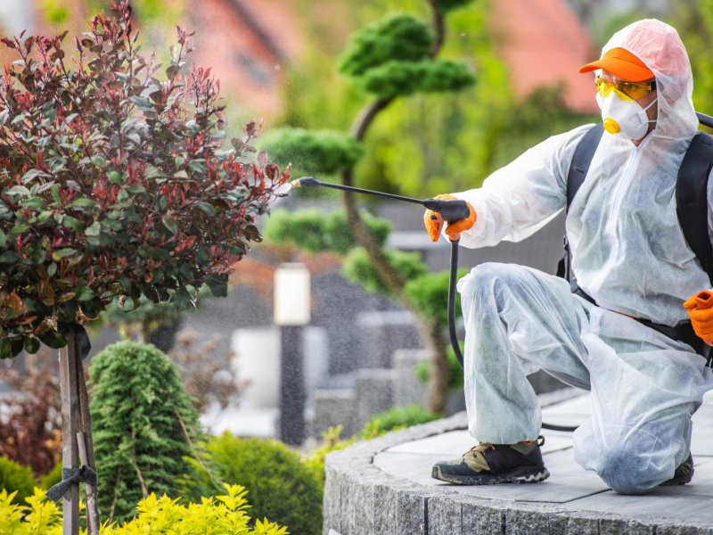 Dikili Haşere İlaçlama